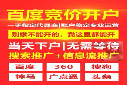 网络推广中竞价广告的投放策略及成功案例